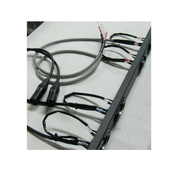 パワーアンプ用 インアウトパネル スピコン仕様（スピーカーアウト） 製作品 inoutpnl100ウディーランド