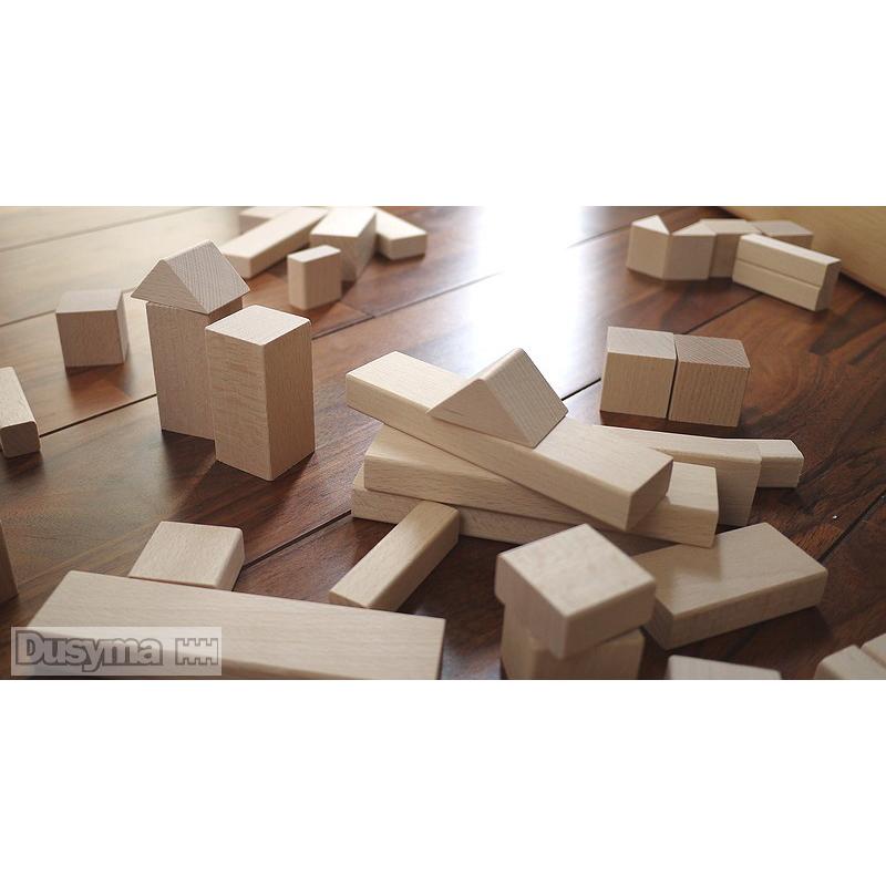 デュシマ社 フレーベル積み木 大 正規輸入品 フレーベル積木 Dusyma 木