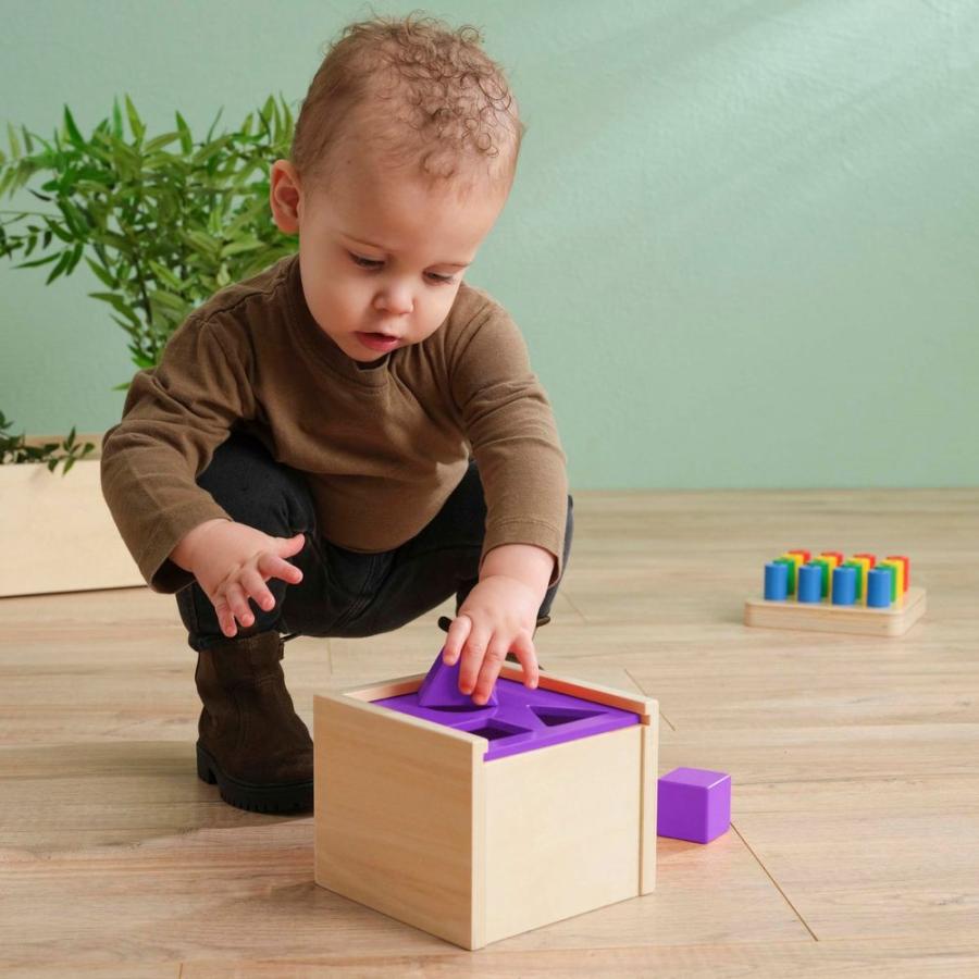 エデュコ educo 積み木落とし 型はめ ポストボックス Post the Shape