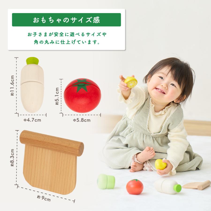 ウッディプッディ（WOODY PUDDY） はじめてのおもちゃ ベビーサラダ