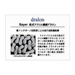 HALISON ハリソン ドラロン リブ 底パイル  ニッカホーズ  Ｍ | HALISON | 02