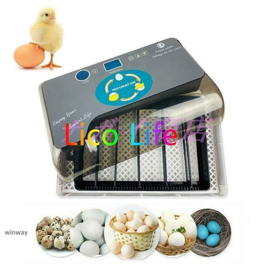 自動孵卵器 インキュベーター 鳥類専用ふ卵器 鶏 にわとり ウズラ 