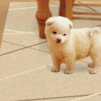 ペット 滑り止め マット シート 犬 老犬 防水 拭ける フローリング 床 滑らない 安い 90 130 1畳 ベージュ Abt 2101 Woods 通販 Yahoo ショッピング