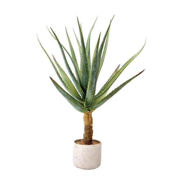 新規購入 観葉植物 造花 インテリア フェイクグリーン おしゃれ 人工 プレゼント お祝い ギフト 日陰 高級 アンティーク 北欧 大きい 大型 室内 玄関 アロエ 木 葉っぱ Abt 8507 Woods 通販 Yahoo ショッピング 公式の Www Iccostierovico Edu It