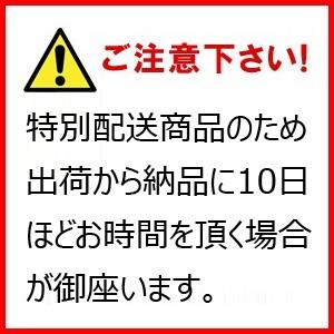2段ベッド 二段ベッド 子供 大人用 安い おしゃれ キッズ 北欧 頑丈 丈夫 安全 パイプ 分割 分離 シングル 落下防止_6
