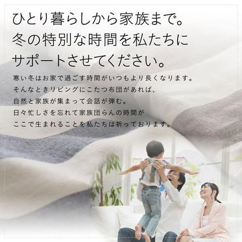 こたつ布団 長方形 単品 こたつ掛け布団 コタツ布団 こたつ掛布団 かけ布団 ( こたつ掛布団単品4尺長方形 (80×120cm)天板用 )