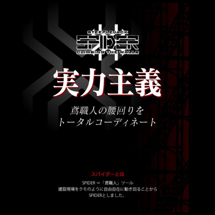 SK11 藤原産業 ツールケース2段B スパイダーシリーズ 鳶職