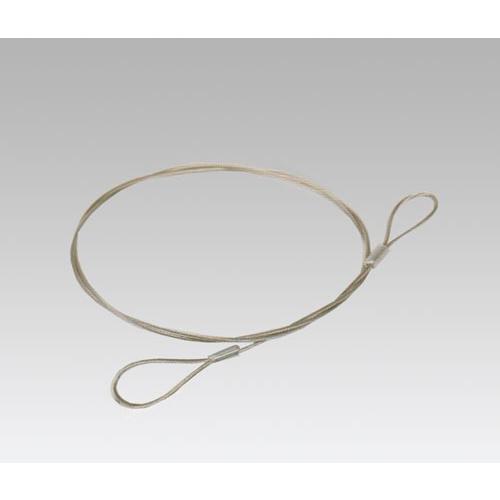 両端ループ加工ワイヤー ロープ径2.0mm / 長さ1020mm : ワークパーツ