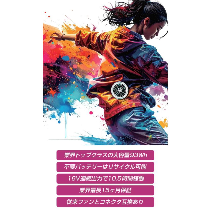 長信ジャパン GB-POWER 2026年 新型 30V バッテリー セット 15ヶ月保証