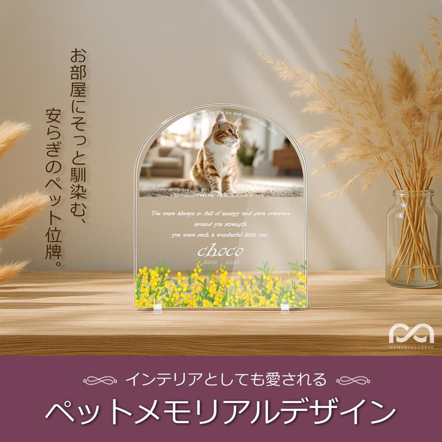 【ペットメモリアル】ペット位牌 犬 猫  名入れ おしゃれアクリルプレート オーダーメイド デザイナー仕上げ 日本製   (クリア, ミモザ) |  | 01