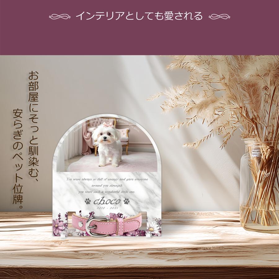 【ペットメモリアル】ペット位牌 犬 猫  名入れ おしゃれアクリルプレート オーダーメイド 首輪タイプ 日本製 (コスモス, 大理石調ホワイト・首輪小) |  | 01