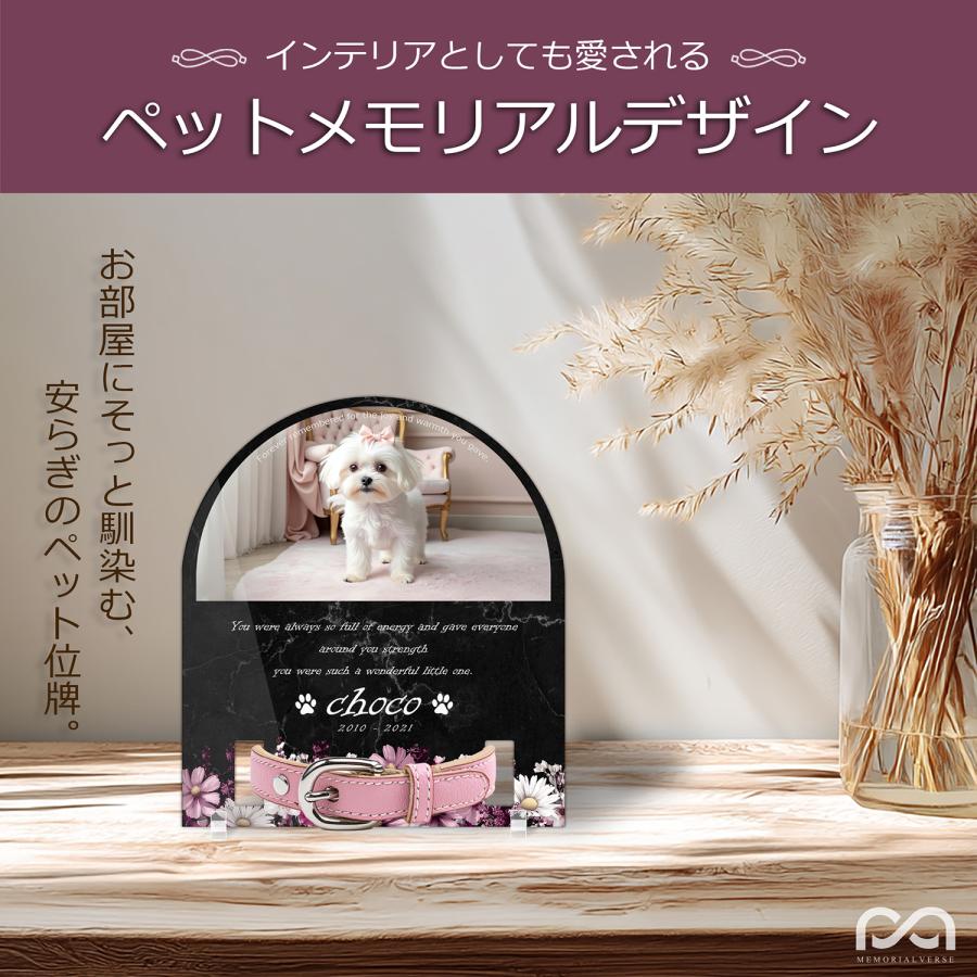 【ペットメモリアル】ペット位牌 犬 猫  名入れ おしゃれアクリルプレート オーダーメイド 首輪タイプ 日本製 (コスモス, 大理石調ブラック・首輪小) |  | 01