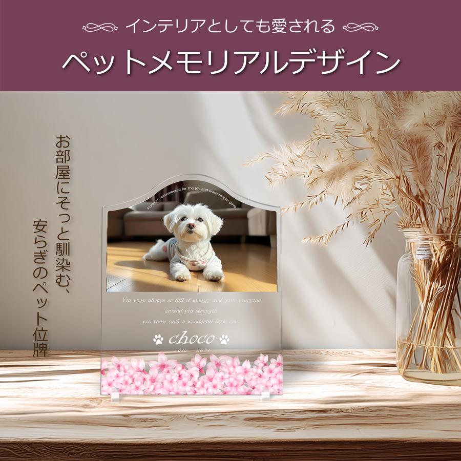 【ペットメモリアル】ペット位牌 犬 猫  名入れ おしゃれアクリルプレート オーダーメイド デザイナー仕上げ 日本製   (サクラ, クリア) |  | 02