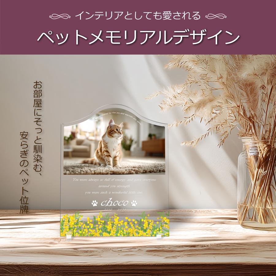 【ペットメモリアル】ペット位牌 犬 猫  名入れ おしゃれアクリルプレート オーダーメイド デザイナー仕上げ 日本製   (ミモザ, クリア) |  | 02