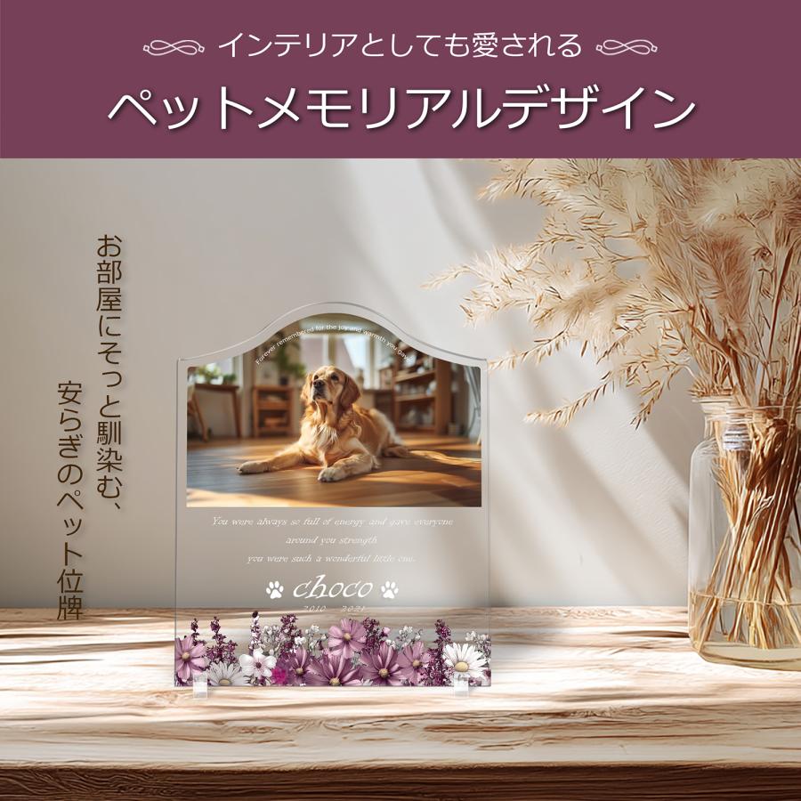 【ペットメモリアル】ペット位牌 犬 猫  名入れ おしゃれアクリルプレート オーダーメイド デザイナー仕上げ 日本製   (コスモス, クリア) |  | 02