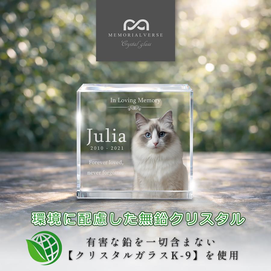 【メモリアルバース｜クリスタル位牌】ペット位牌 ペット仏具 犬 猫 ペットメモリアル 思い出 名入れ クリスタルガラス オーダーメイド  日本製 (ブラウン) |  | 04