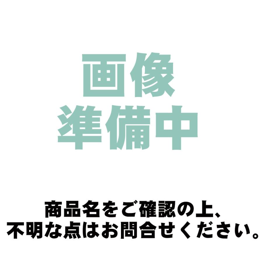 イサム塗料 サッシュ・ワイパー・ステップ用 サッシュコートエコ