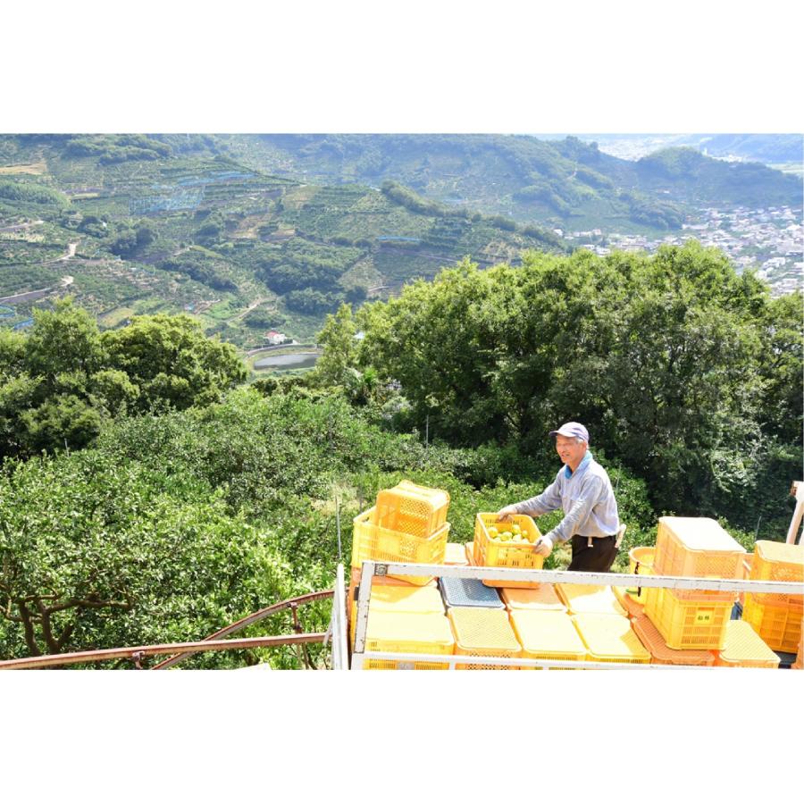 和歌山 伊藤農園 有田のみかんと山花のはちみつ お取り寄せ お取り寄せグルメ 人気 内祝 お祝い 御祝 贈答用 お歳暮 御歳暮 お中元 御中元 お祝い お土産 |  | 05