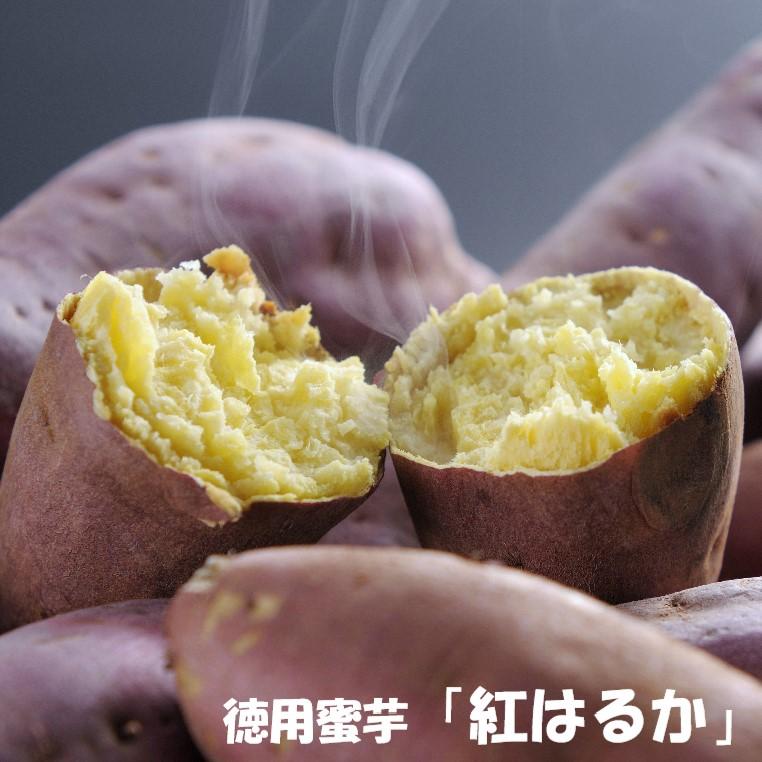 熊本 徳用蜜芋 紅はるか 芋 お取り寄せ お取り寄せグルメ さつま芋 送料無料 | 