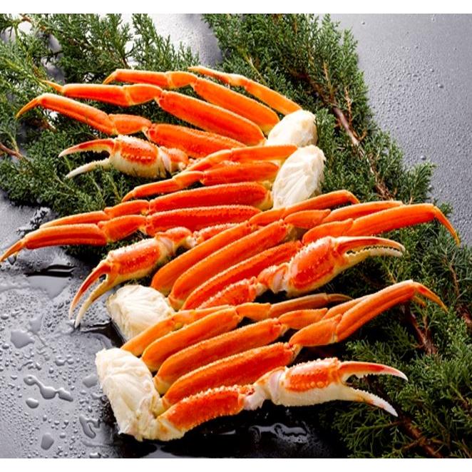 ボイルずわいがに脚 お取り寄せ お取り寄せグルメ 人気 内祝 お祝い 御祝 贈答用 お歳暮 御歳暮 お中元 御中元 お祝い お土産 手土産 |  | 03