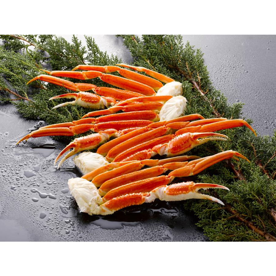 ボイルずわいがに脚 お取り寄せ お取り寄せグルメ 人気 内祝 お祝い 御祝 贈答用 お歳暮 御歳暮 お中元 御中元 お祝い お土産 手土産 |  | 04