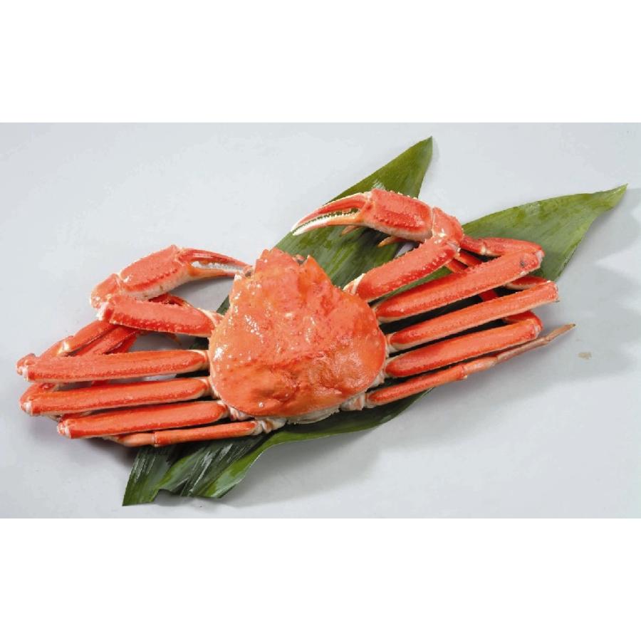 ボイルずわいがに姿　 お取り寄せ お取り寄せグルメ 人気 内祝 お祝い 御祝 贈答用 お歳暮 御歳暮 お中元 御中元 お祝い お土産 手土産 |  | 02