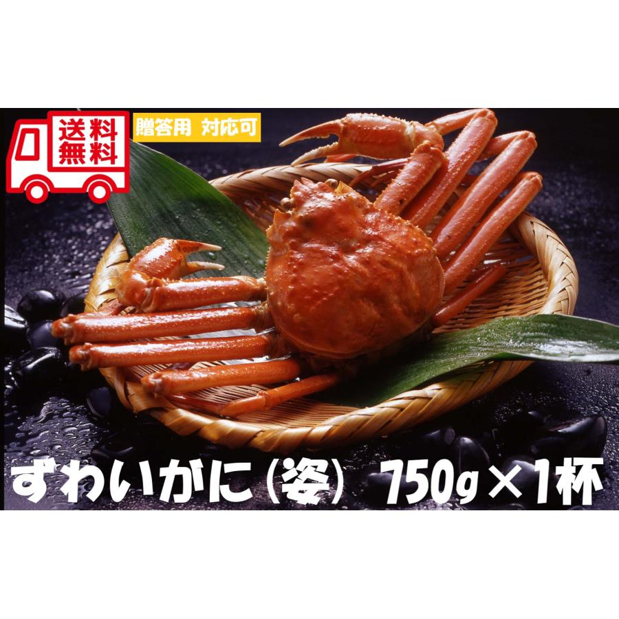 ボイルずわいがに姿　 お取り寄せ お取り寄せグルメ 人気 内祝 お祝い 御祝 贈答用 お歳暮 御歳暮 お中元 御中元 お祝い お土産 手土産 | 