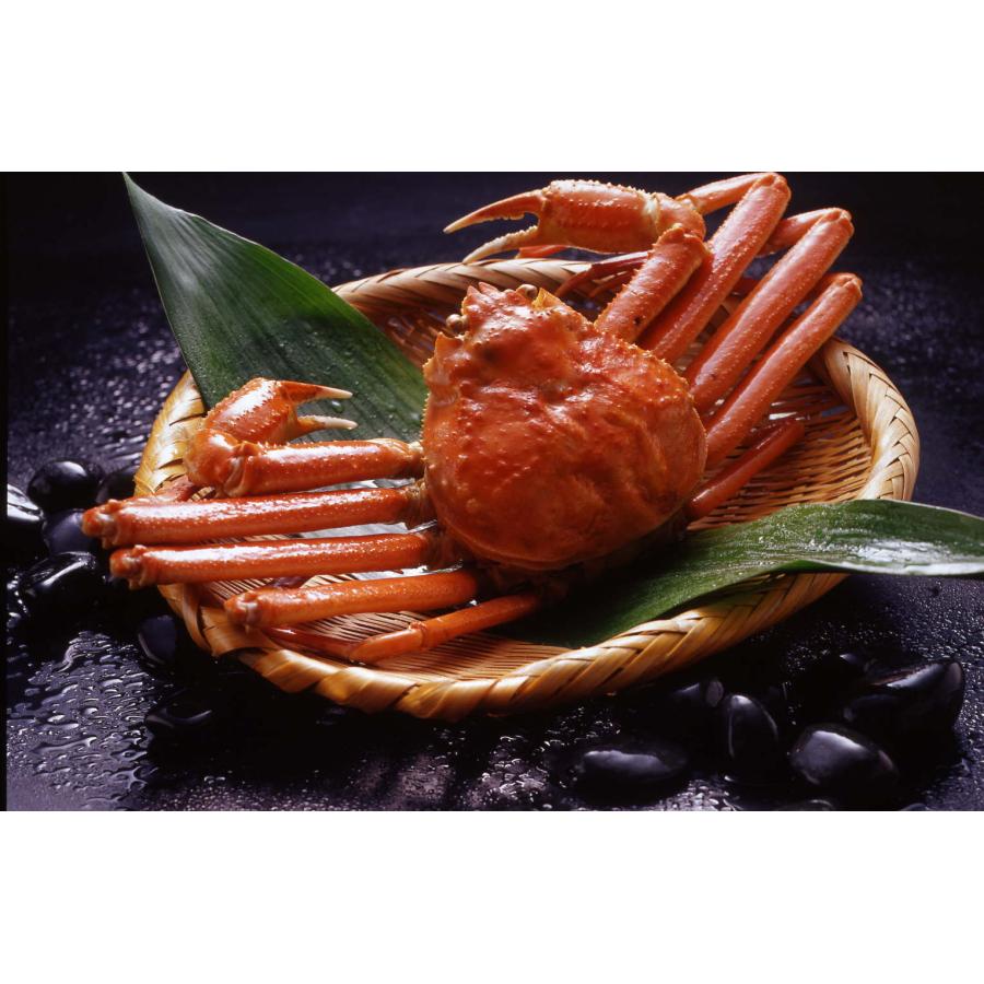 ボイルずわいがに姿　 お取り寄せ お取り寄せグルメ 人気 内祝 お祝い 御祝 贈答用 お歳暮 御歳暮 お中元 御中元 お祝い お土産 手土産 |  | 03