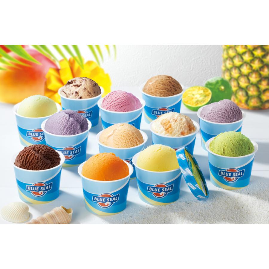 沖縄 ブルーシール アイス アイスクリーム お取り寄せ 人気 内祝 御歳暮 お歳暮 お祝い 御祝 お中元 御中元 お土産 手土産 |  | 02