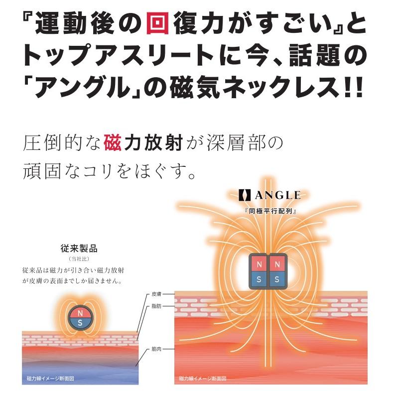 磁気ネックレス 肩こり 首こり 血行改善 アングル e.モデル02 磁気 医療 効果 スポーツ プレゼント ネックレス |  | 01