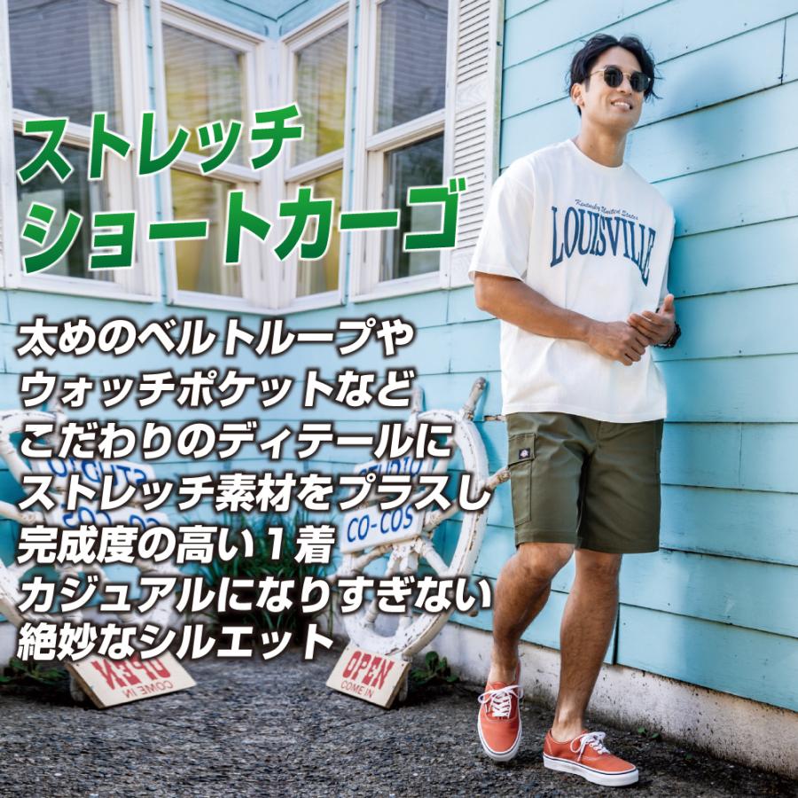 Dickies ディッキーズ D-2876 春夏 ストレッチ パンツ ワークパンツ