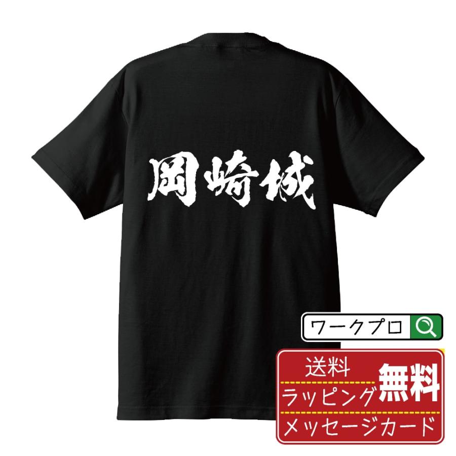 岡崎城 Tシャツ 書道家が書く オリジナル プリント ( 100名城
