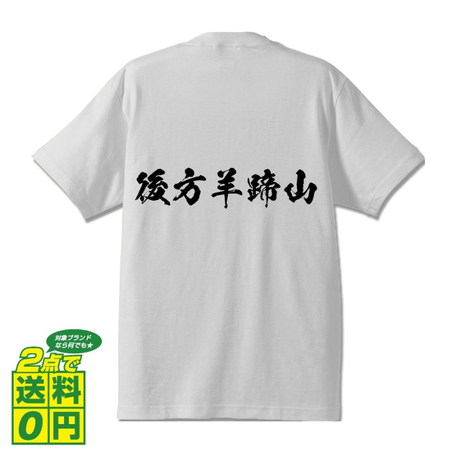 後方羊蹄山 オリジナル Tシャツ 書道家が書く プリント Tシャツ 百名山 メンズ レディース キッズ Cus H009 つなぎ服と作業服のワークプロ 通販 Yahoo ショッピング