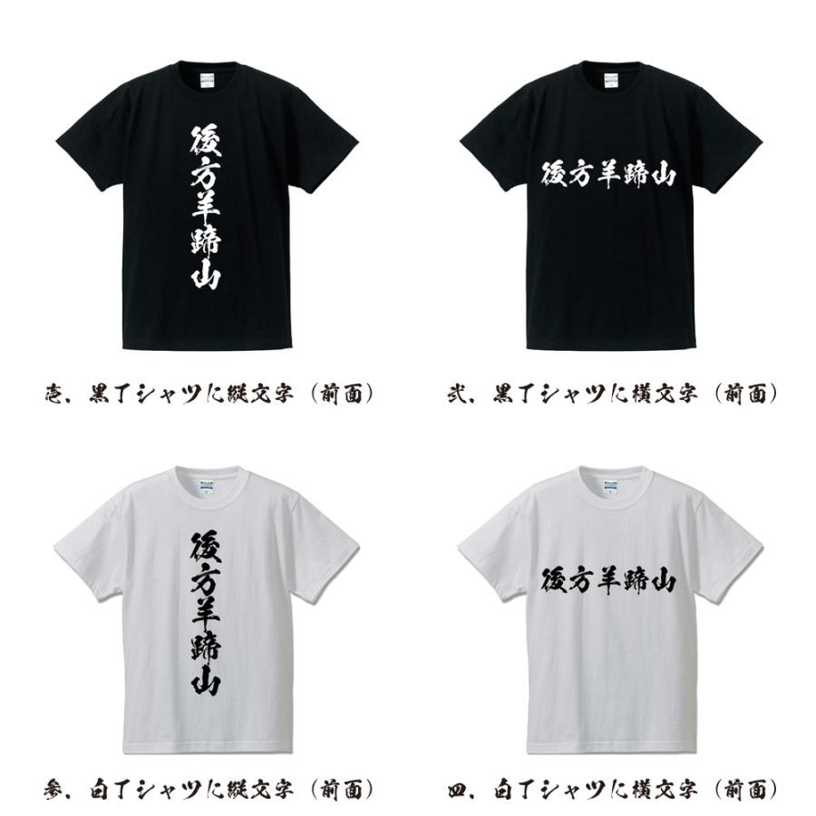 後方羊蹄山 筆文字 Tシャツ 半袖 書道家が書く 名入れ 漢字 オリジナル