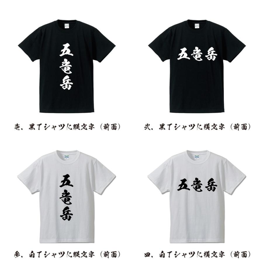五竜岳 筆文字 Tシャツ 半袖 書道家が書く 名入れ 漢字 オリジナル