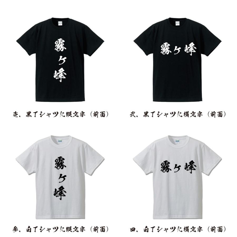 霧ヶ峰 筆文字 Tシャツ 半袖 書道家が書く 名入れ 漢字 オリジナル