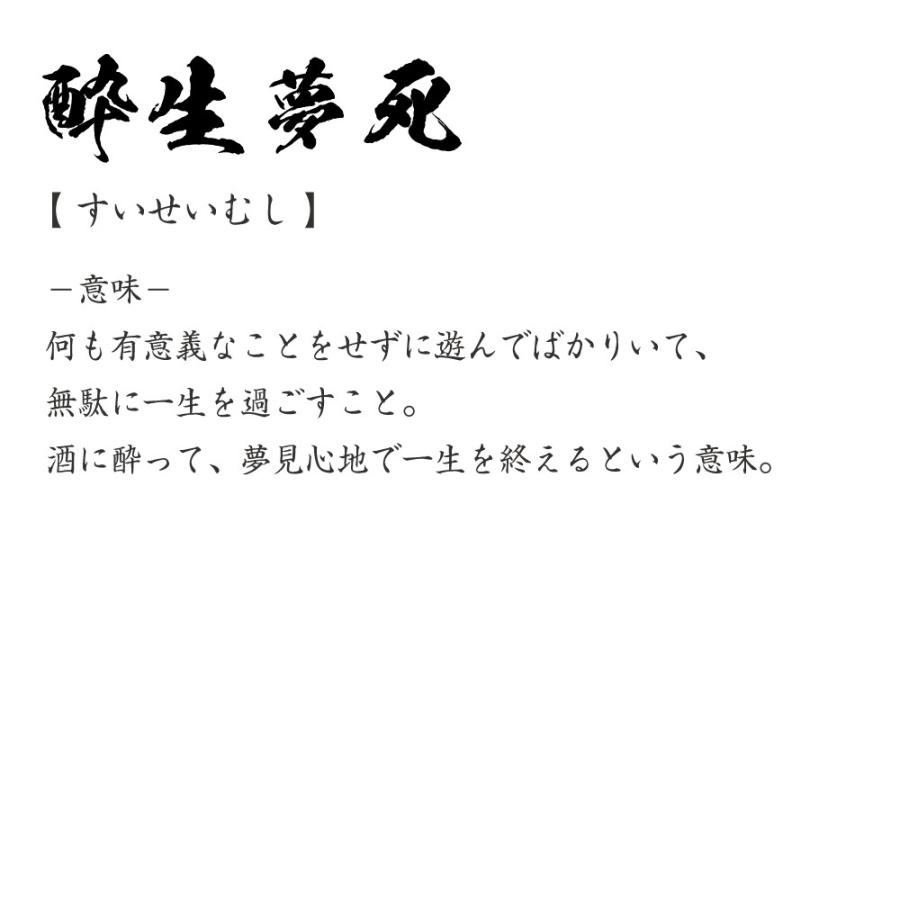 酔生夢死 すいせいむし オリジナル Tシャツ 書道家が書く プリント Tシャツ 四字熟語 メンズ レディース キッズ Cus J つなぎ服と作業服のワークプロ 通販 Yahoo ショッピング
