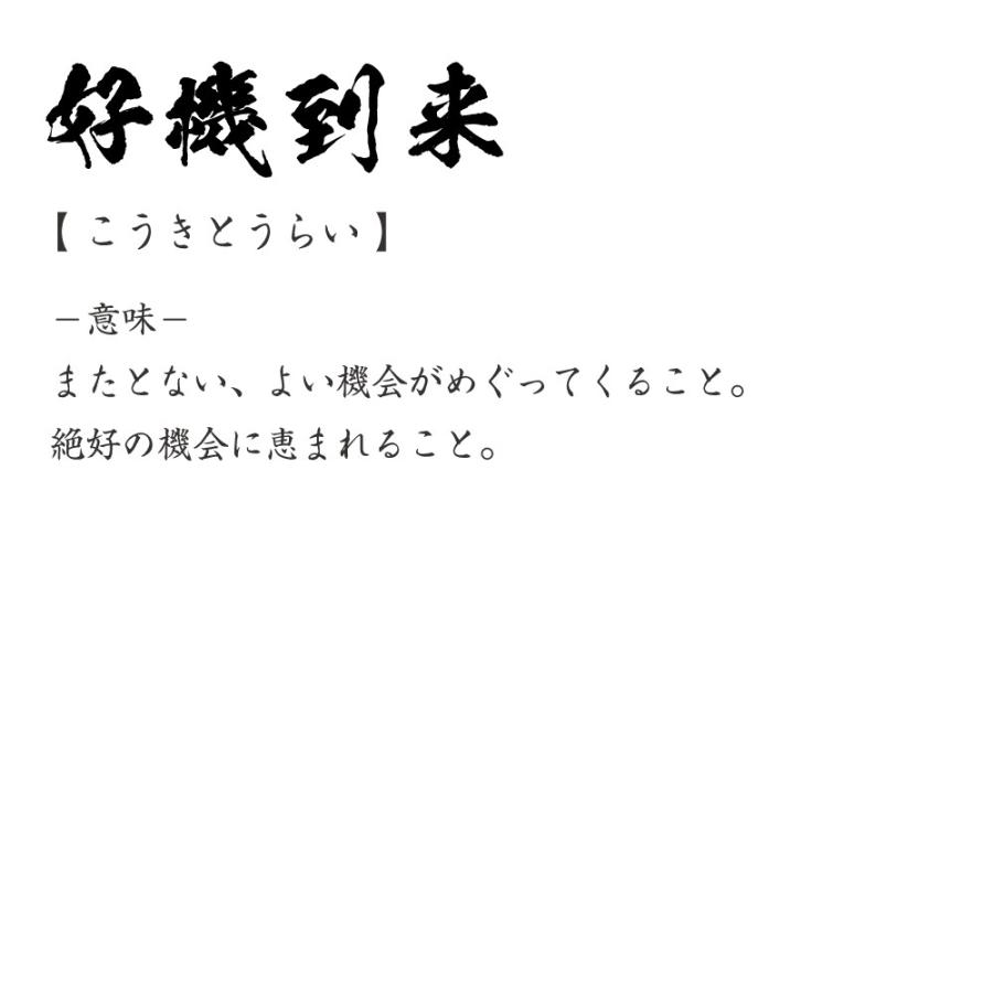 好機到来 こうきとうらい オリジナル Tシャツ 書道家が書く プリント Tシャツ 四字熟語 メンズ レディース キッズ Cus J つなぎ服と作業服のワークプロ 通販 Yahoo ショッピング