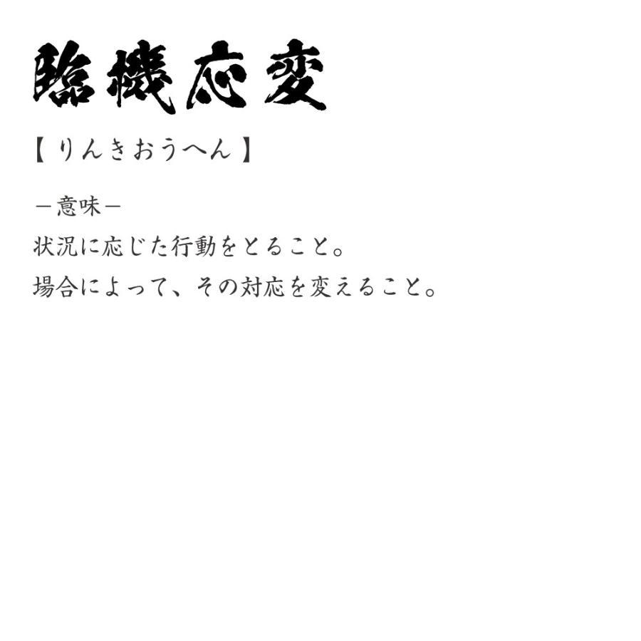 臨機応変 りんきおうへん オリジナル Tシャツ 書道家が書く プリント Tシャツ 四字熟語 メンズ レディース キッズ Cus J つなぎ服と作業服のワークプロ 通販 Yahoo ショッピング
