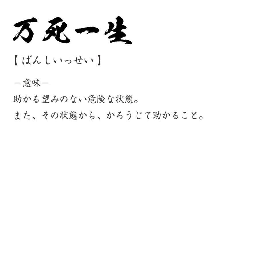万死一生 ばんしいっせい オリジナル Tシャツ 書道家が書く プリント Tシャツ 四字熟語 メンズ レディース キッズ Cus J つなぎ服と作業服のワークプロ 通販 Yahoo ショッピング