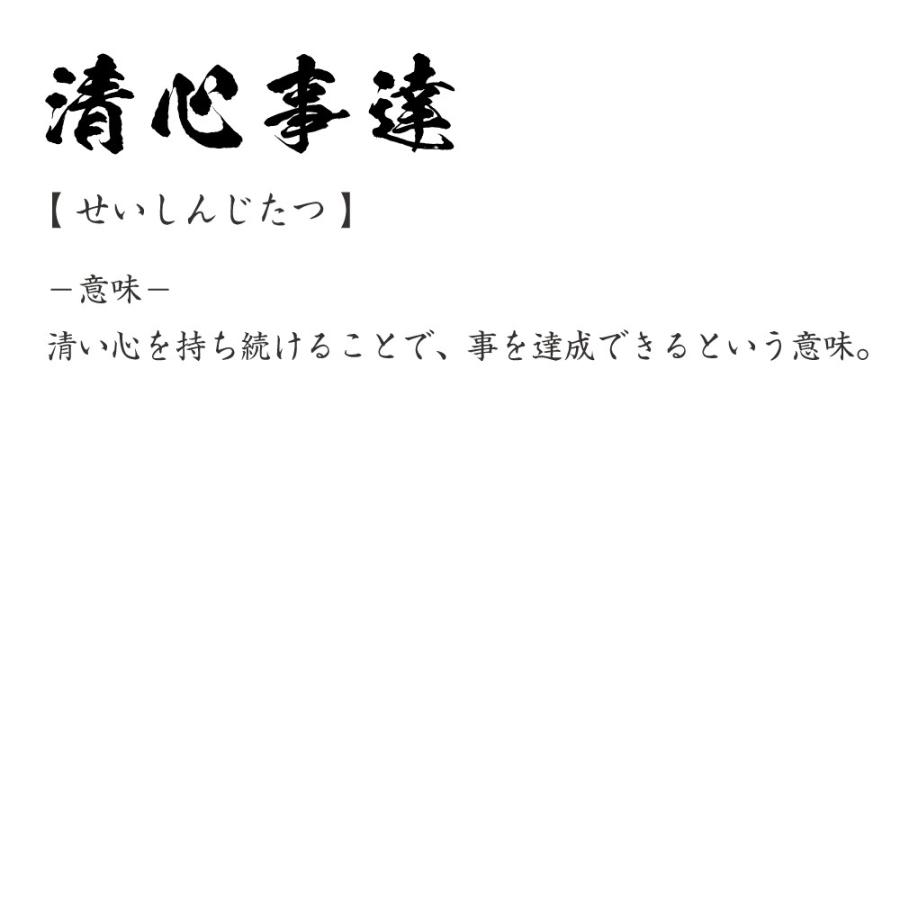 清心事達 せいしんじたつ オリジナル Tシャツ 書道家が書く プリント Tシャツ 四字熟語 メンズ レディース キッズ Cus J つなぎ服と作業服のワークプロ 通販 Yahoo ショッピング
