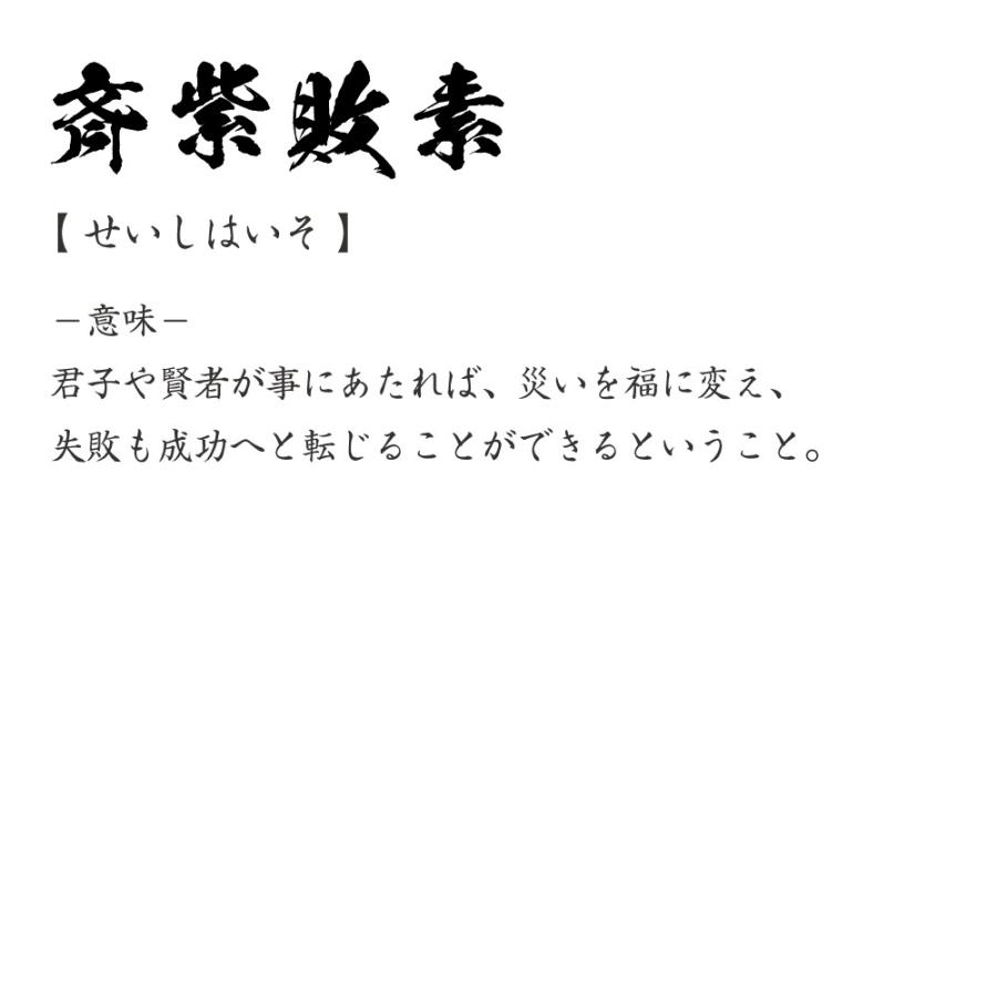斉紫敗素 せいしはいそ オリジナル Tシャツ 書道家が書く プリント Tシャツ 四字熟語 メンズ レディース キッズ Cus J つなぎ服と作業服のワークプロ 通販 Yahoo ショッピング