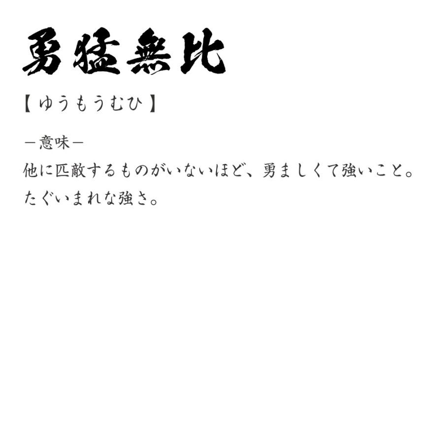 勇猛無比 (ゆうもうむひ) 筆文字 Tシャツ 半袖 書道家が書く 名入れ 漢字 オリジナル プリント ( 四字熟語 ) メンズ レディース キッズ  ギフト 販促
