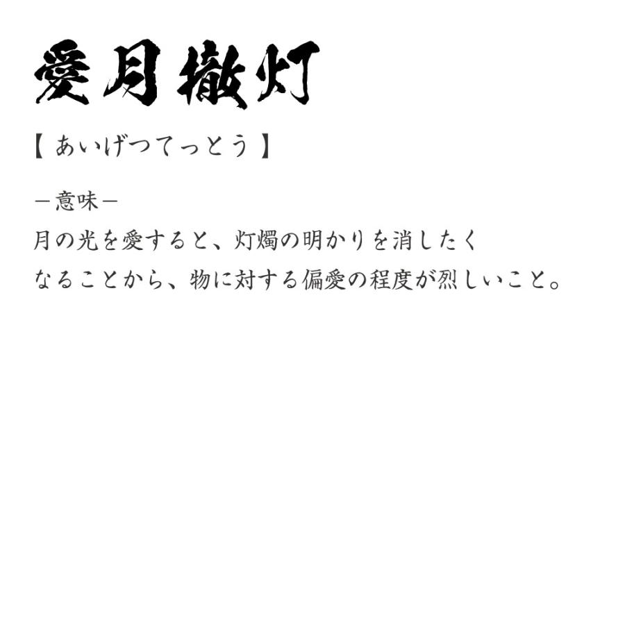 愛月撤灯 あいげつてっとう オリジナル Tシャツ 書道家が書く プリント Tシャツ 四字熟語 メンズ レディース キッズ Cus J つなぎ服と作業服のワークプロ 通販 Yahoo ショッピング