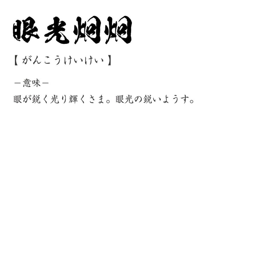 眼光炯炯 がんこうけいけい オリジナル Tシャツ 書道家が書く プリント Tシャツ 四字熟語 メンズ レディース キッズ Cus J つなぎ服と作業服のワークプロ 通販 Yahoo ショッピング