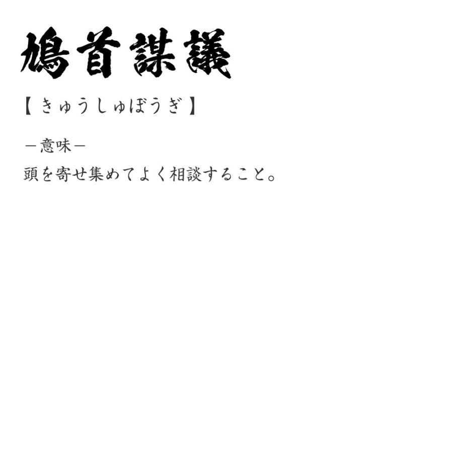 鳩首謀議 (きゅうしゅぼうぎ) オリジナル Tシャツ 書道家が書く プリント Tシャツ ( 四字熟語 ) メンズ レディース キッズ｜workpro｜03