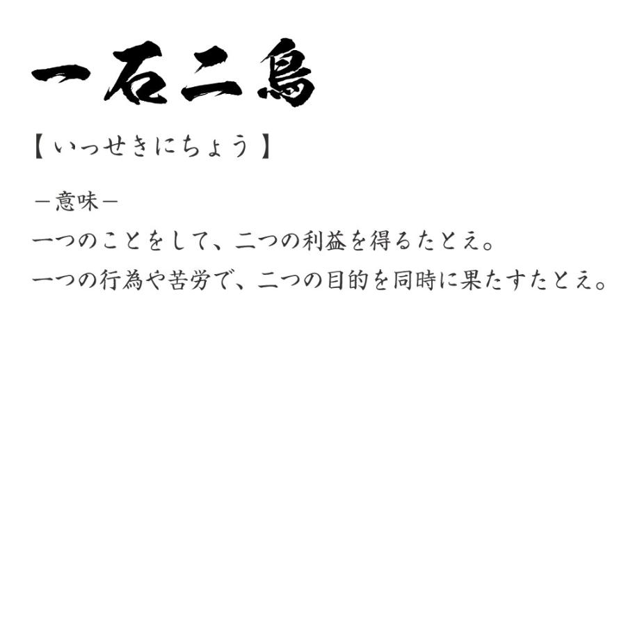 今だけポイント10倍 一石二鳥 いっせきにちょう オリジナル Tシャツ 書道家が書く プリント Tシャツ 四字熟語 メンズ レディース キッズ Cus J つなぎ服と作業服の専門店 ワークプロ 通販 Yahoo ショッピング