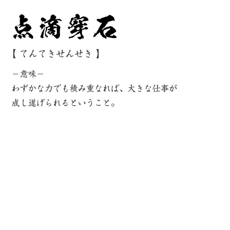 点滴穿石 (てんてきせんせき) Tシャツ 書道家が書く オリジナル  