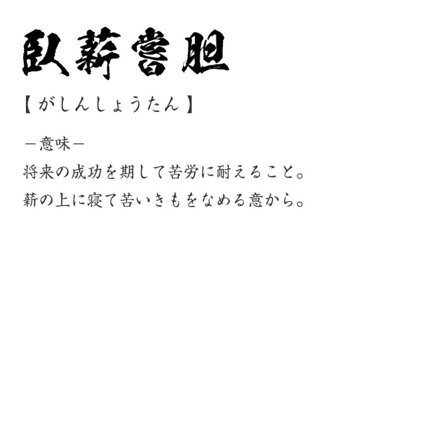 臥薪嘗胆 がしんしょうたん オリジナル Tシャツ 書道家が書く プリント Tシャツ 四字熟語 メンズ レディース キッズ Cus J つなぎ服と作業服のワークプロ 通販 Yahoo ショッピング