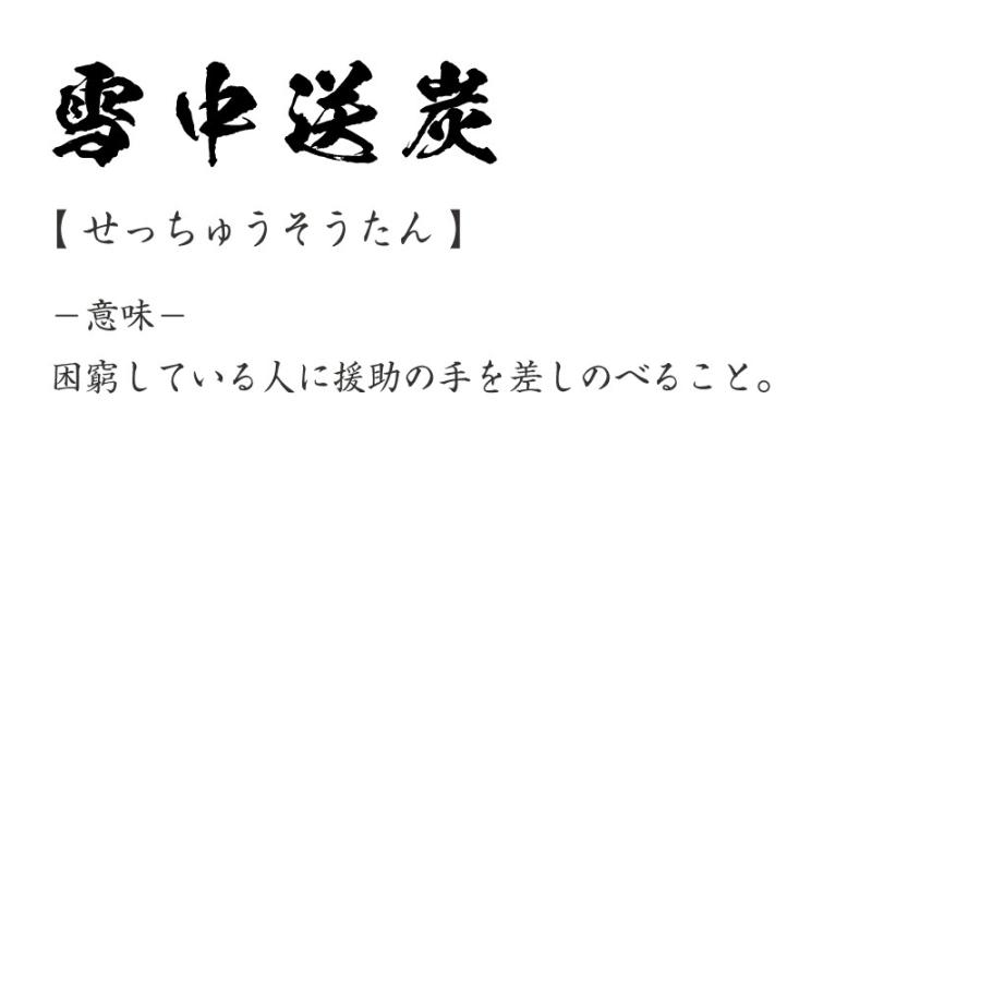 雪中送炭 せっちゅうそうたん オリジナル Tシャツ 書道家が書く プリント Tシャツ 四字熟語 メンズ レディース キッズ Cus J つなぎ服と作業服のワークプロ 通販 Yahoo ショッピング